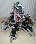 A hexapod robot